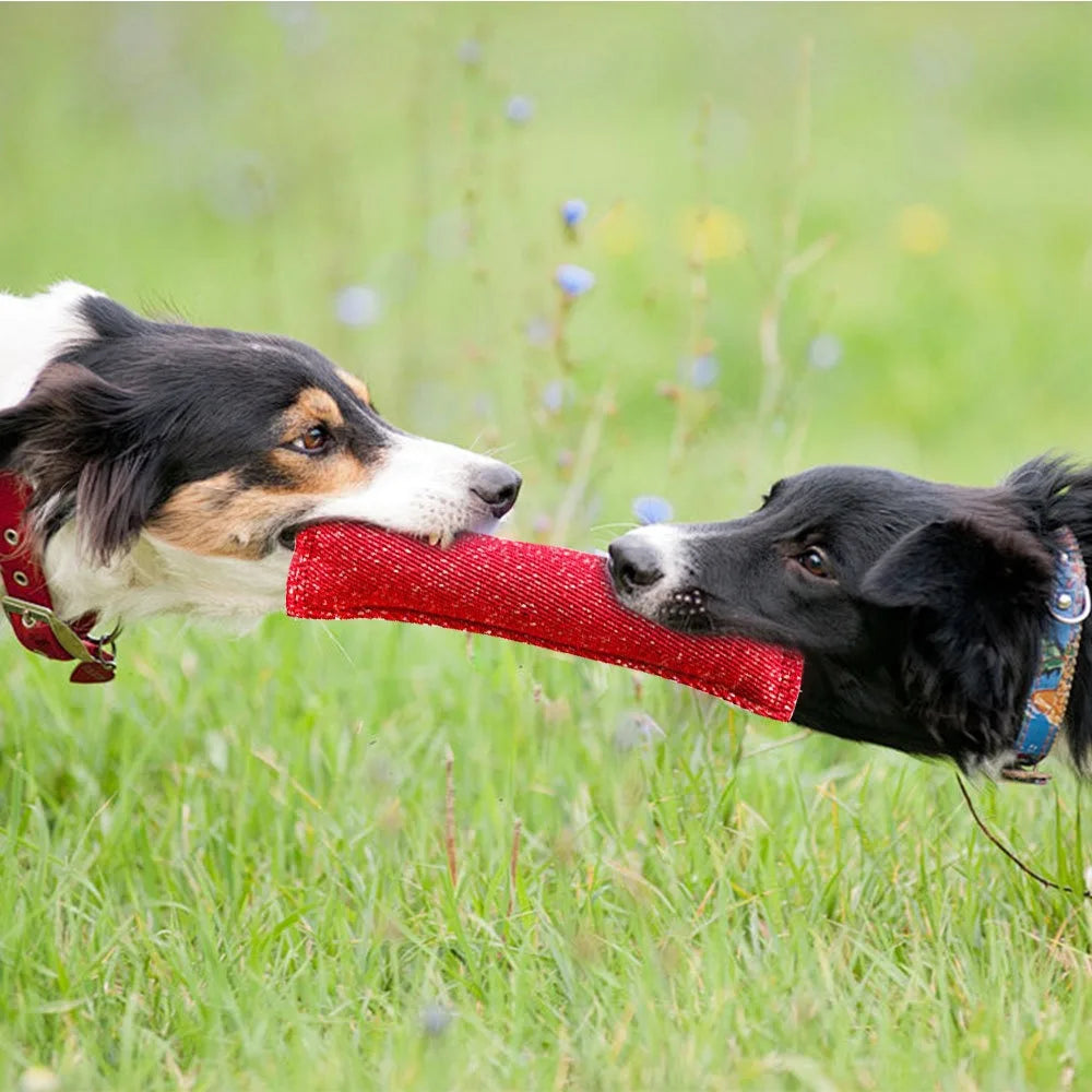 Juguete molar interactivo para perros. Resistente a mordidas, ideal para tirar y aflojar.