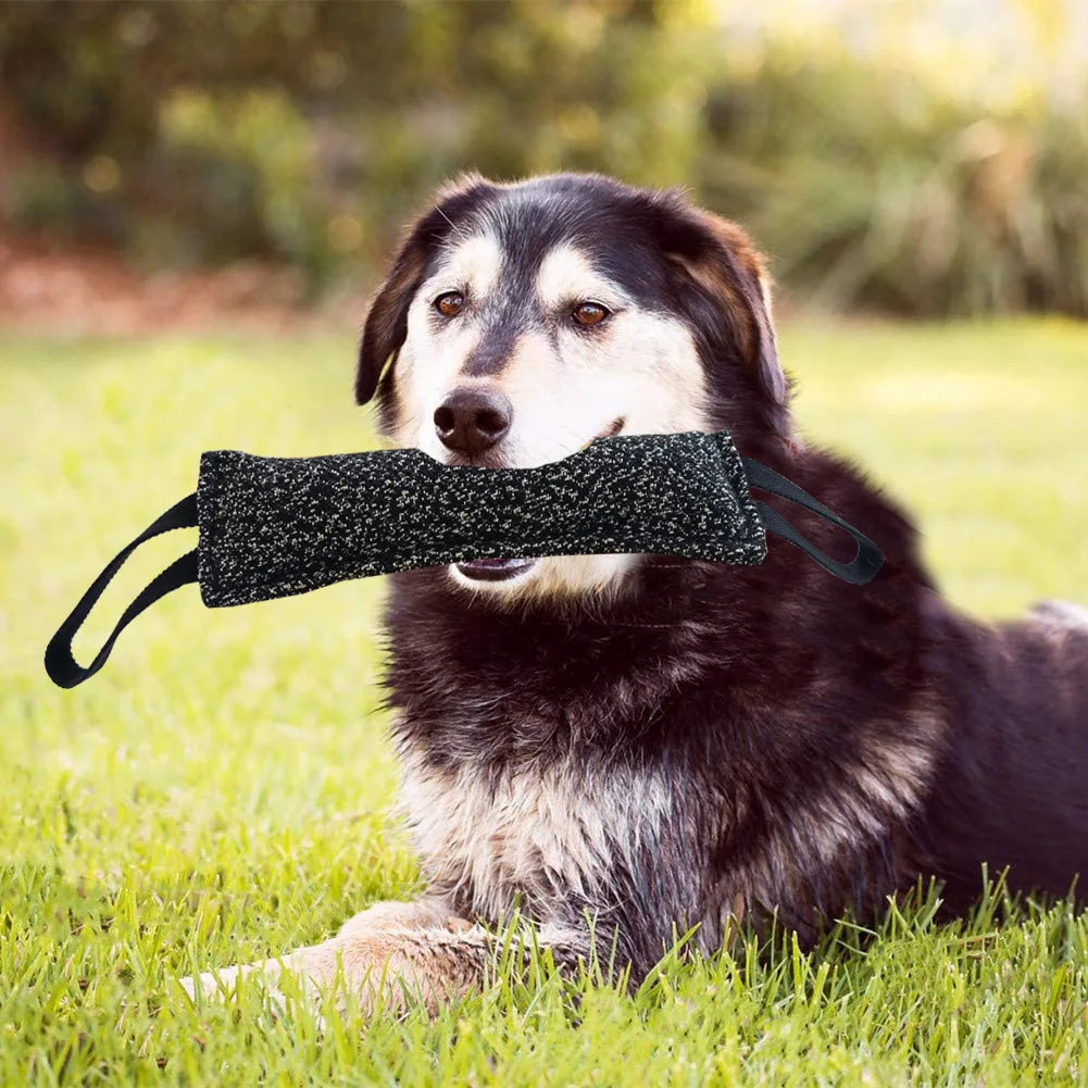 Juguete molar interactivo para perros. Resistente a mordidas, ideal para tirar y aflojar.