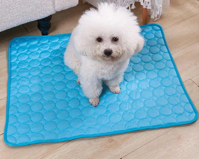 Manta refrescante para mascotas, ideal para el verano. Mantiene a tu perro o gato fresco y cómodo.