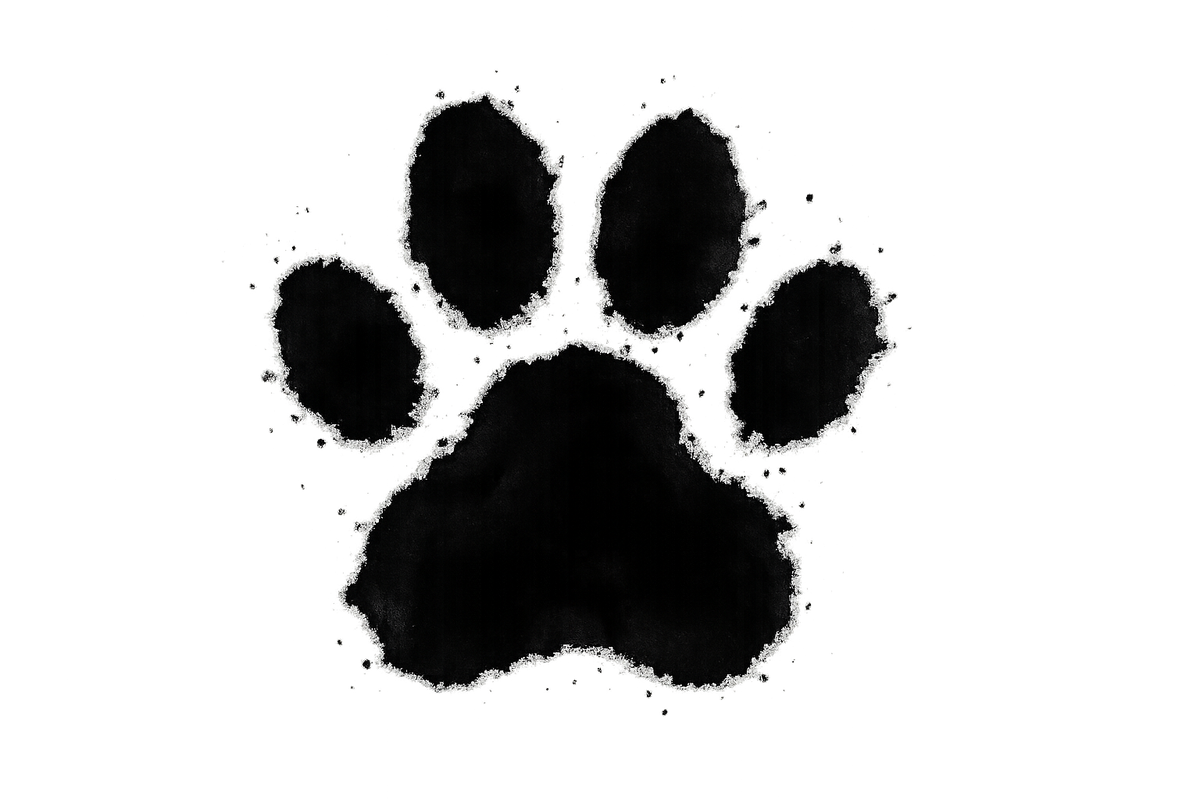 haz una mancha de tinta con forma de pata de perro en un fondo trasparente, solo la mancha